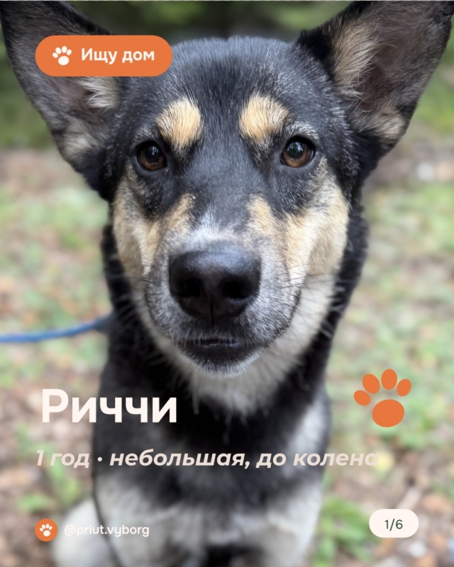 Ждем всех на WOOF FESTе