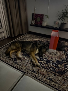 Нюша