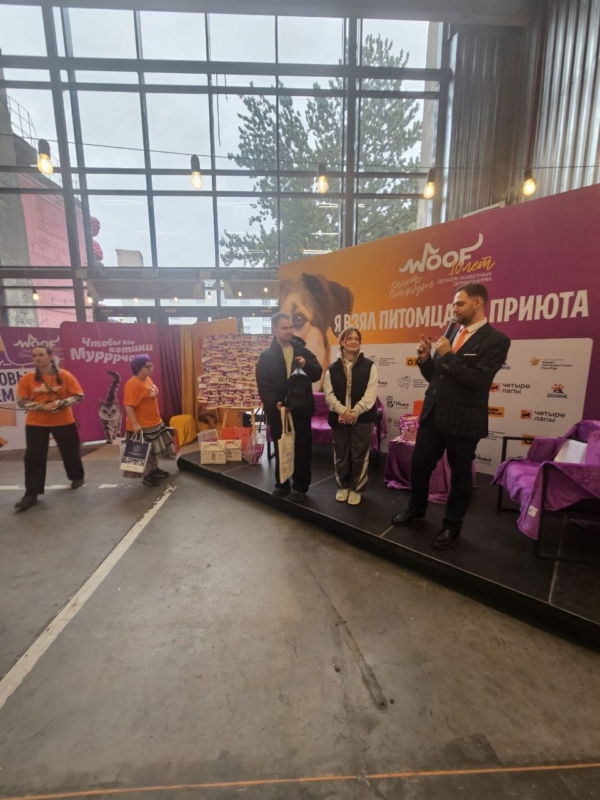 Второй день фестиваля. День котиков